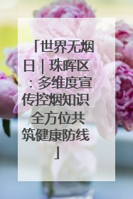 世界无烟日｜珠晖区：多维度宣传控烟知识 全方位共筑健康防线