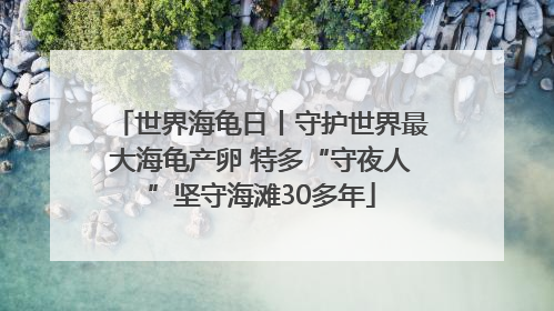 世界海龟日丨守护世界最大海龟产卵 特多“守夜人”坚守海滩30多年