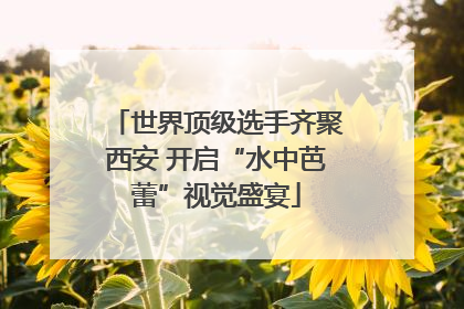 世界顶级选手齐聚西安 开启“水中芭蕾”视觉盛宴