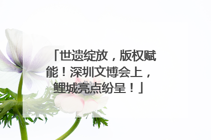 世遗绽放，版权赋能！深圳文博会上，鲤城亮点纷呈！
