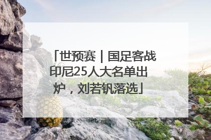 世预赛｜国足客战印尼25人大名单出炉，刘若钒落选