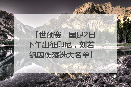 世预赛｜国足2日下午出征印尼，刘若钒因伤落选大名单