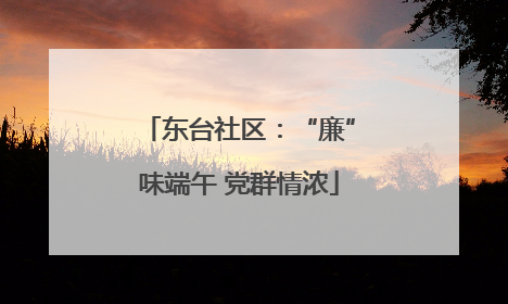东台社区：“廉”味端午 党群情浓