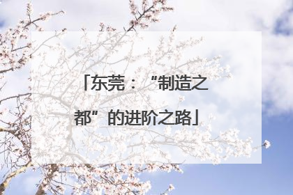 东莞：“制造之都”的进阶之路
