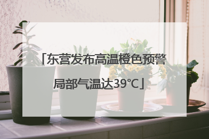 东营发布高温橙色预警 局部气温达39℃