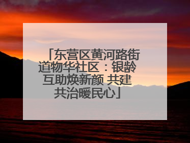 东营区黄河路街道物华社区：银龄互助焕新颜 共建共治暖民心