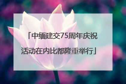 中缅建交75周年庆祝活动在内比都隆重举行