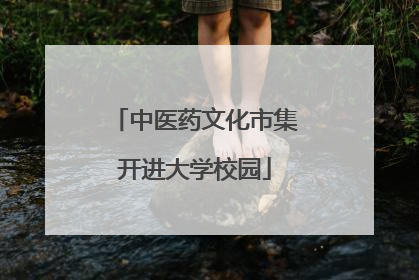 中医药文化市集开进大学校园