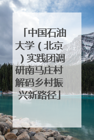 中国石油大学（北京）实践团调研南马庄村解码乡村振兴新路径