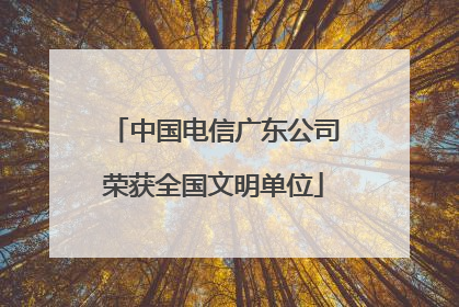 中国电信广东公司荣获全国文明单位