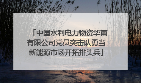 中国水利电力物资华南有限公司党员突击队勇当新能源市场开拓排头兵