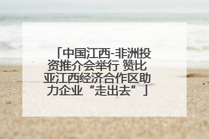 中国江西-非洲投资推介会举行 赞比亚江西经济合作区助力企业“走出去”
