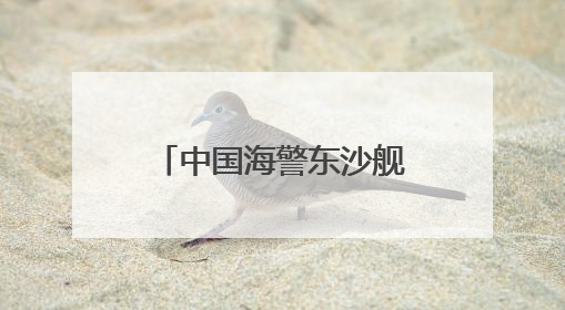 中国海警东沙舰，现身黄岩岛