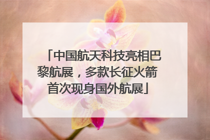 中国航天科技亮相巴黎航展，多款长征火箭首次现身国外航展