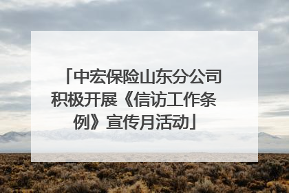 中宏保险山东分公司积极开展《信访工作条例》宣传月活动