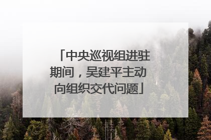 中央巡视组进驻期间，吴建平主动向组织交代问题