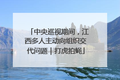 中央巡视期间，江西多人主动向组织交代问题｜打虎拍蝇