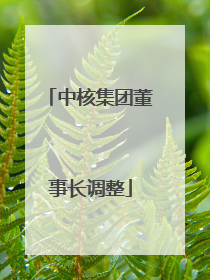 中核集团董事长调整