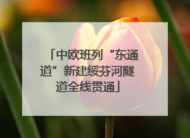 中欧班列“东通道”新建绥芬河隧道全线贯通