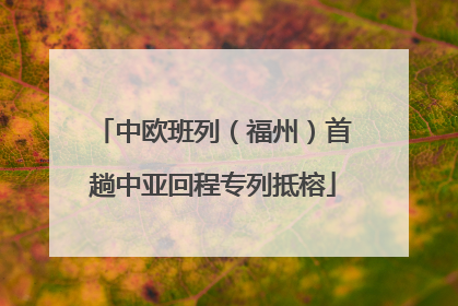 中欧班列（福州）首趟中亚回程专列抵榕