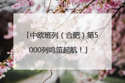 中欧班列（合肥）第5000列鸣笛起航！