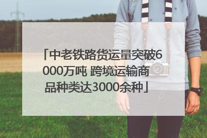 中老铁路货运量突破6000万吨 跨境运输商品种类达3000余种