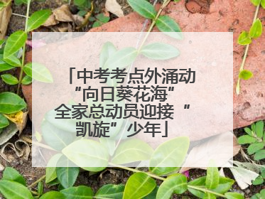 中考考点外涌动“向日葵花海” 全家总动员迎接“凯旋”少年
