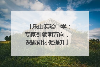 乐山实验中学：专家引领明方向，课题研讨促提升