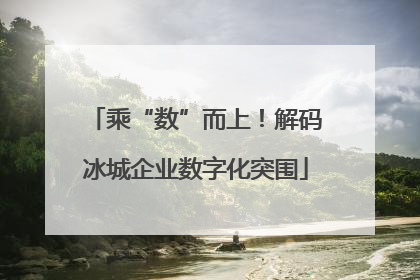 乘“数”而上！解码冰城企业数字化突围