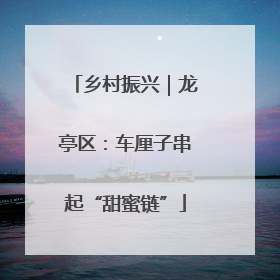 乡村振兴｜龙亭区：车厘子串起“甜蜜链”