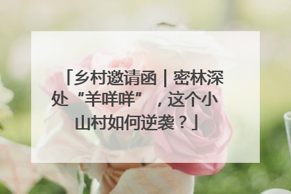 乡村邀请函｜密林深处“羊咩咩”，这个小山村如何逆袭？