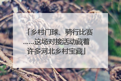 乡村门球、骑行比赛……这场对接活动藏着许多河北乡村宝藏