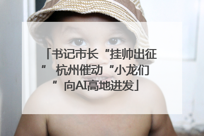 书记市长“挂帅出征” 杭州催动“小龙们”向AI高地进发