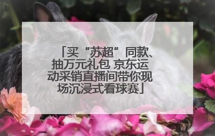 买“苏超”同款、抽万元礼包 京东运动采销直播间带你现场沉浸式看球赛