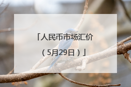 人民币市场汇价（5月29日）