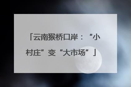 云南猴桥口岸：“小村庄”变“大市场”