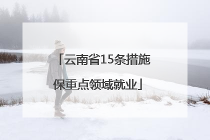 云南省15条措施保重点领域就业