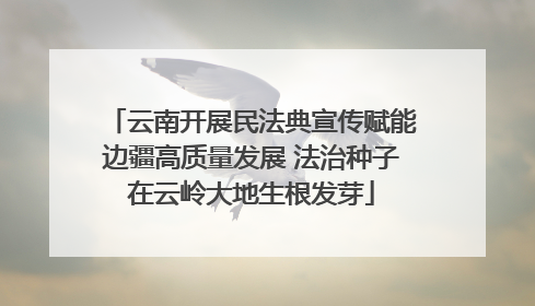 云南开展民法典宣传赋能边疆高质量发展 法治种子在云岭大地生根发芽