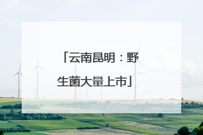 云南昆明：野生菌大量上市