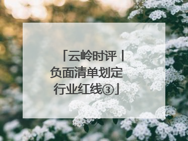 云岭时评丨负面清单划定行业红线③