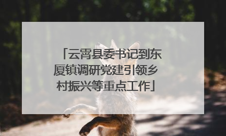 云霄县委书记到东厦镇调研党建引领乡村振兴等重点工作