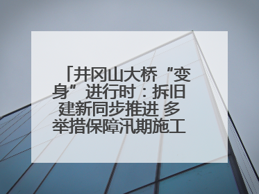 井冈山大桥“变身”进行时：拆旧建新同步推进 多举措保障汛期施工（图）