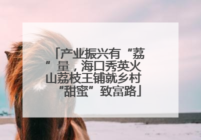 产业振兴有“荔”量，海口秀英火山荔枝王铺就乡村“甜蜜”致富路