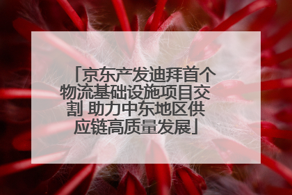 京东产发迪拜首个物流基础设施项目交割 助力中东地区供应链高质量发展