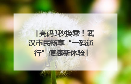 亮码3秒换乘！武汉市民畅享“一码通行”便捷新体验