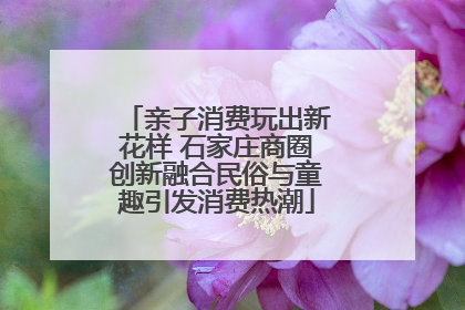 亲子消费玩出新花样 石家庄商圈创新融合民俗与童趣引发消费热潮