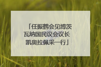任振鹤会见博茨瓦纳国民议会议长凯奥拉佩采一行