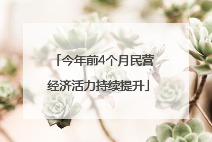 今年前4个月民营经济活力持续提升