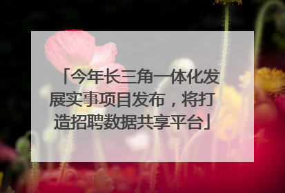 今年长三角一体化发展实事项目发布，将打造招聘数据共享平台