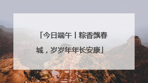 今日端午丨粽香飘春城，岁岁年年长安康